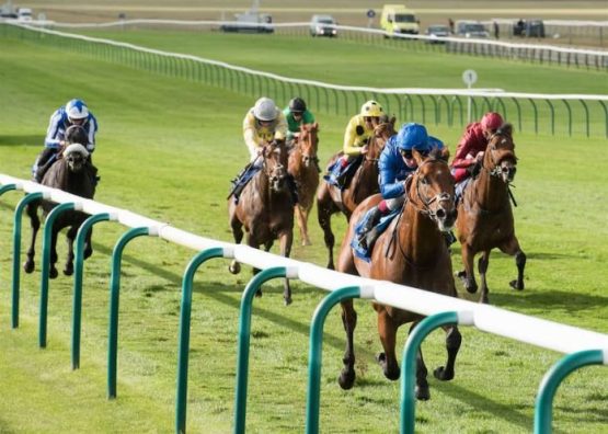 newmarket
