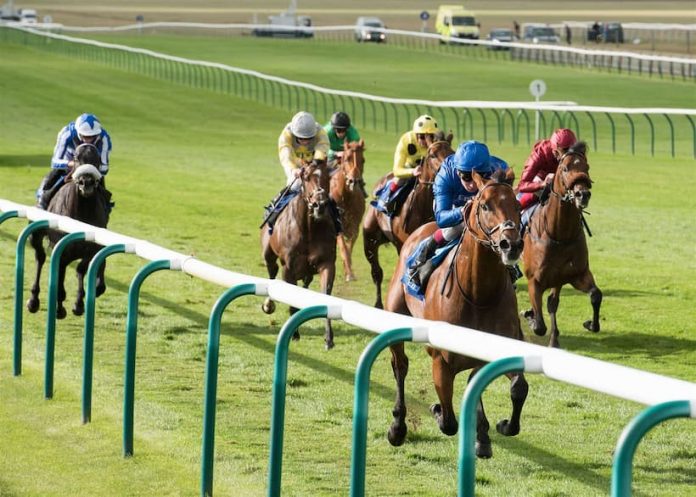 newmarket