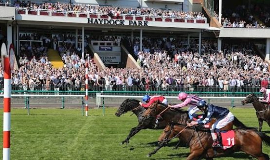 haydock park racecourse