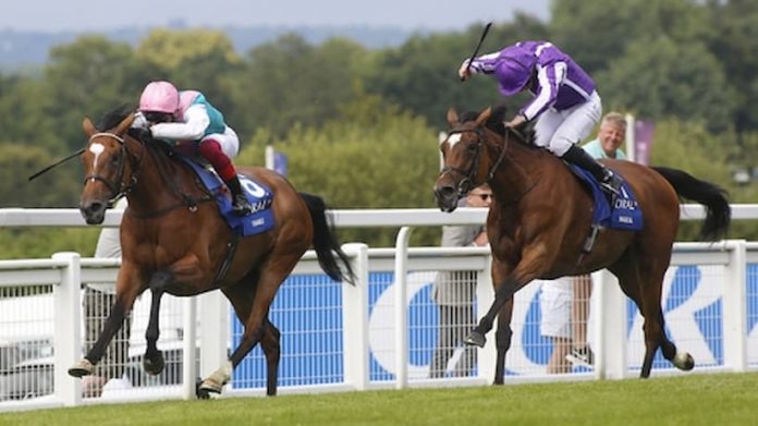 Enable