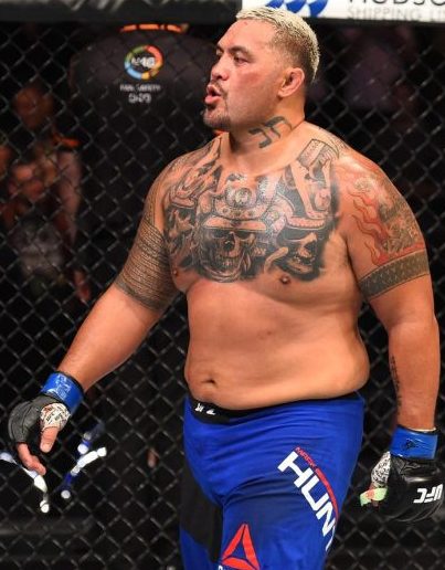 mark hunt