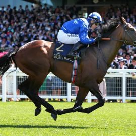 Baaeed is now favourite in the Juddmonte International odds after Desert Crown was ruled out