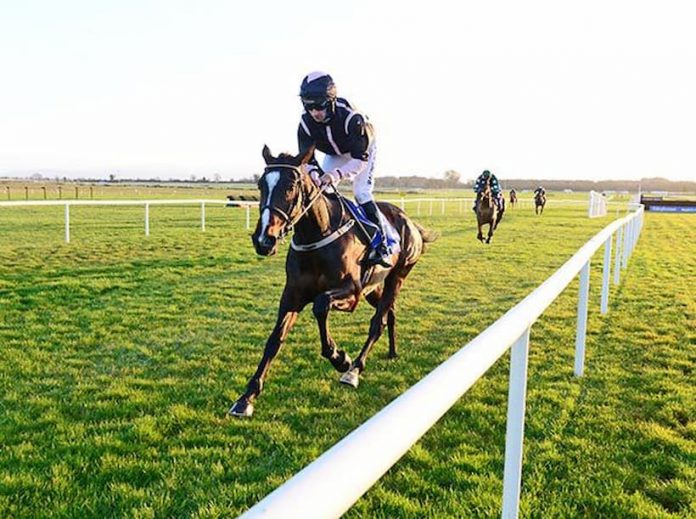Grech Horse1