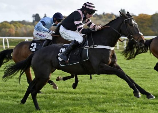 Mike Grech Horse