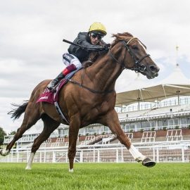 Frankie Dettori loses Stradivarius Goodwood Cup ride