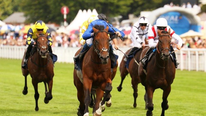 After the latest St Leger entries come out, New London hardens as favourite