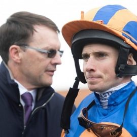 Aidan O'Brien Breeders Cup 2023 Runners