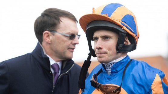 Aidan O'Brien Breeders Cup 2023 Runners
