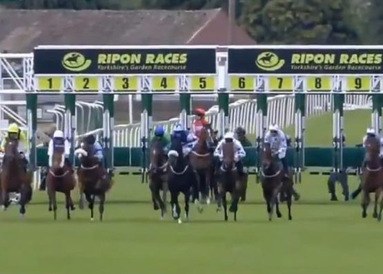 ripon