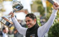 silvestredesousa
