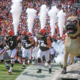Browns