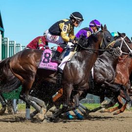 parx racing2