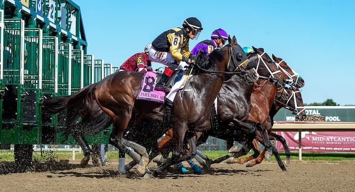 parx racing2