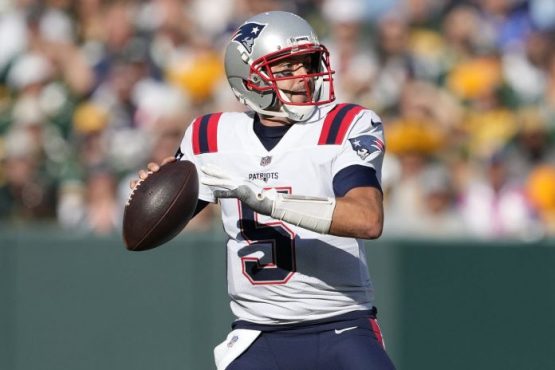 Brian Hoyer