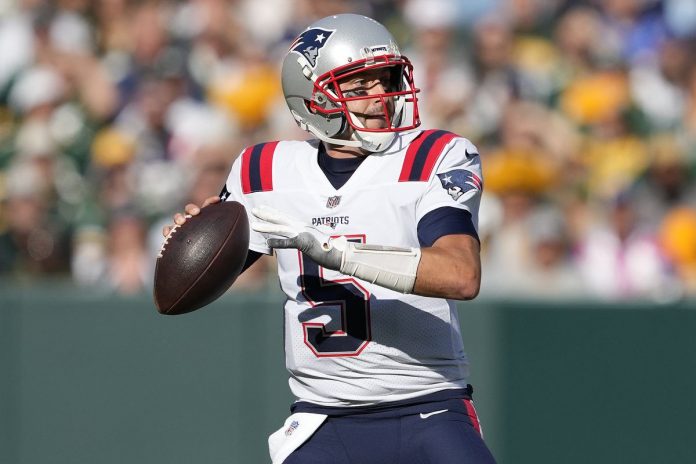 Brian Hoyer