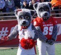 new mexico mascot