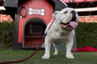 uga