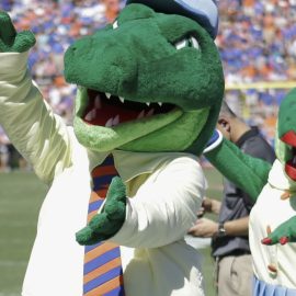 gator mascots