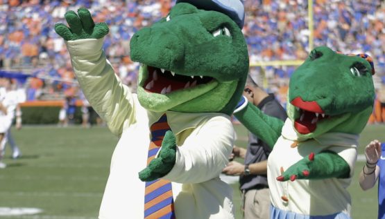 gator mascots