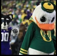 sad puddles oregon duck