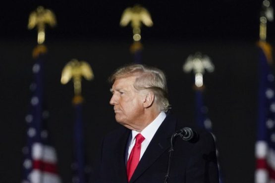 Donald Trump South Carolina Primary Vote