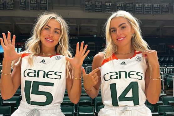 Cav Canes