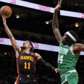 hawks