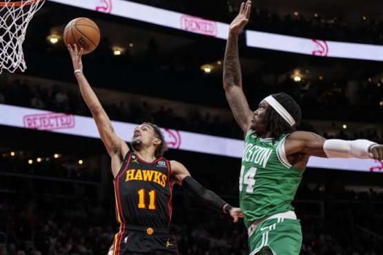 hawks