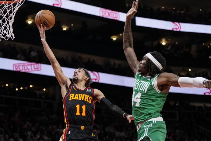 hawks