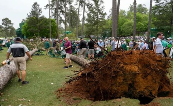 masters tree down