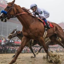 Justify