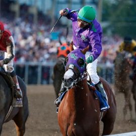 Preakness newnew