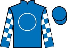 blazing sevens silks
