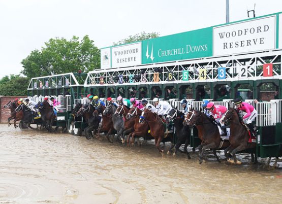 kentucky derby stalls