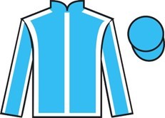 mage silks