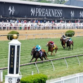 preakness new1