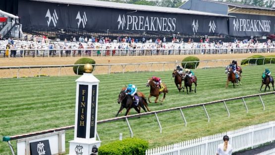 preakness new1