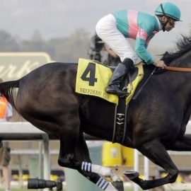 reinarnate horse1 1