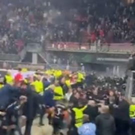 westhamazalkmaarcrowdbrawl