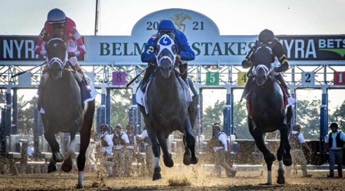 Belmont Stakes 2023 Entries How Many Horses Are Running At Belmont Park