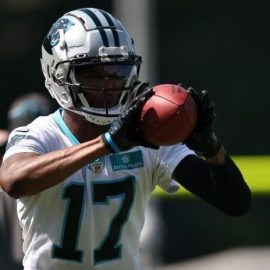 DJ Chark Panthers pic