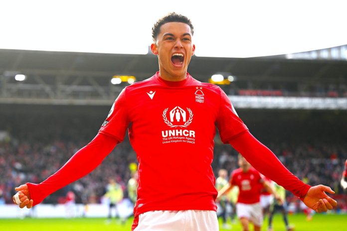 Tottenham Hotspur Signed Brennan Johnson From Nottingham Forest