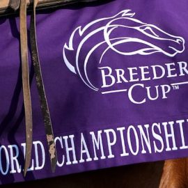 Breeders Cup 2023 2 1