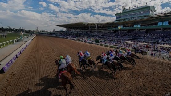 Breeders Cup 2023 Tickets