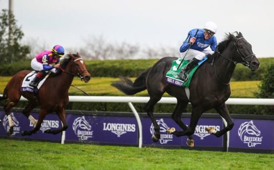 Breeders Cup 3