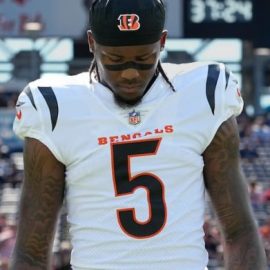 Tee Higgins Bengals pic