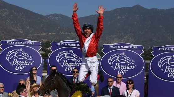 Frankie Dettori Breeders Cup Rides