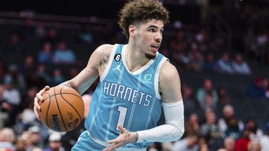 lamello ball hornets ap Cropped