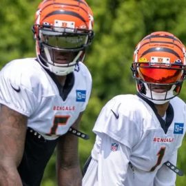 JaMarr Chase and Tee Higgins pic