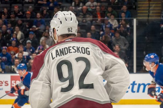 landeskog 1
